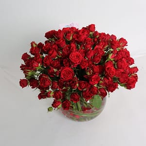 فازة بيبي جوري الكلاسيكية