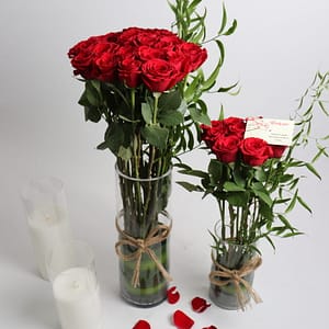 ثنائية جوري الأنيقة